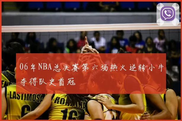 06年NBA总决赛第六场热火逆转小牛夺得队史首冠