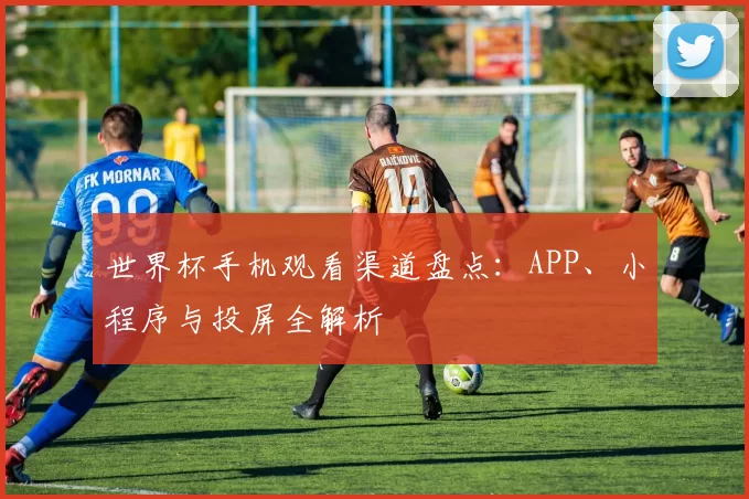 世界杯手机观看渠道盘点:APP、小程序与投屏全解析