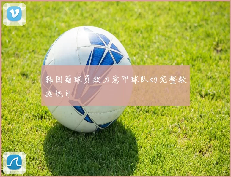 韩国籍球员效力意甲球队的完整数据统计