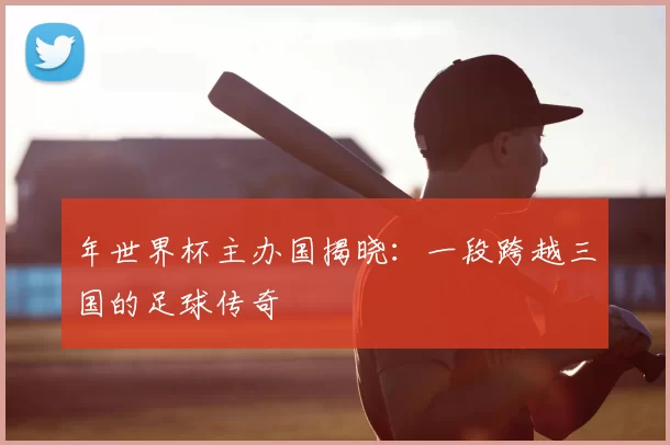 年世界杯主办国揭晓：一段跨越三国的足球传奇