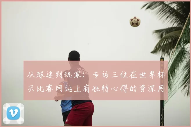 从球迷到玩家：专访三位在世界杯买比赛网站上有独特心得的资深用户