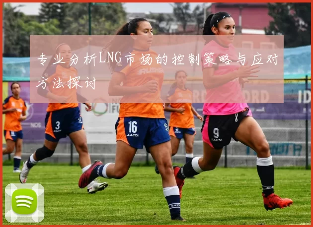 专业分析LNG市场的控制策略与应对方法探讨