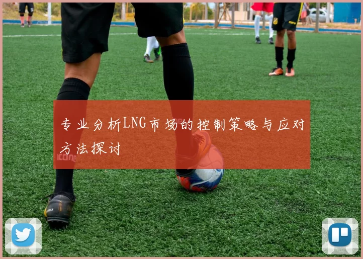 专业分析LNG市场的控制策略与应对方法探讨