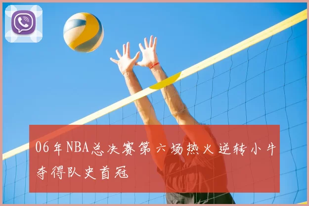 06年NBA总决赛第六场热火逆转小牛夺得队史首冠
