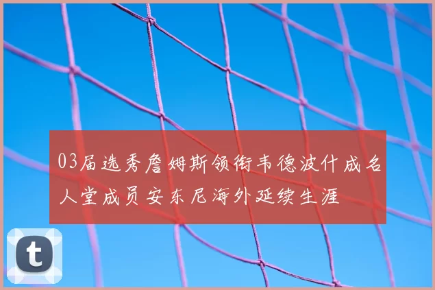 03届选秀詹姆斯领衔韦德波什成名人堂成员安东尼海外延续生涯