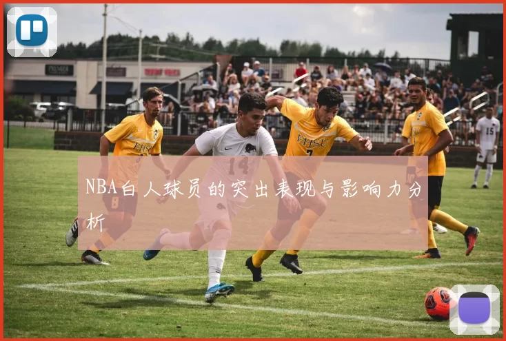 NBA白人球员的突出表现与影响力分析