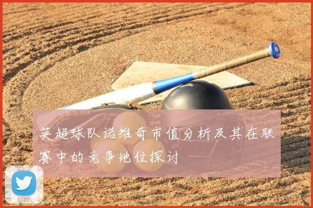 英超球队诺维奇市值分析及其在联赛中的竞争地位探讨