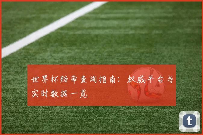 世界杯赔率查询指南：权威平台与实时数据一览