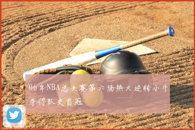 06年NBA总决赛第六场热火逆转小牛夺得队史首冠