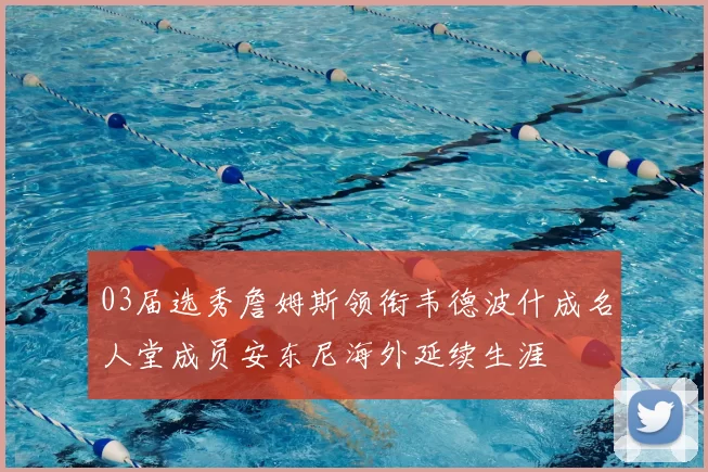 03届选秀詹姆斯领衔韦德波什成名人堂成员安东尼海外延续生涯