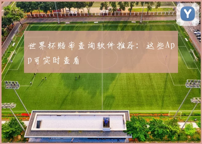 世界杯赔率查询软件推荐:这些App可实时查看