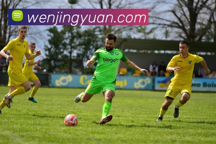 kaiyun平台生态图